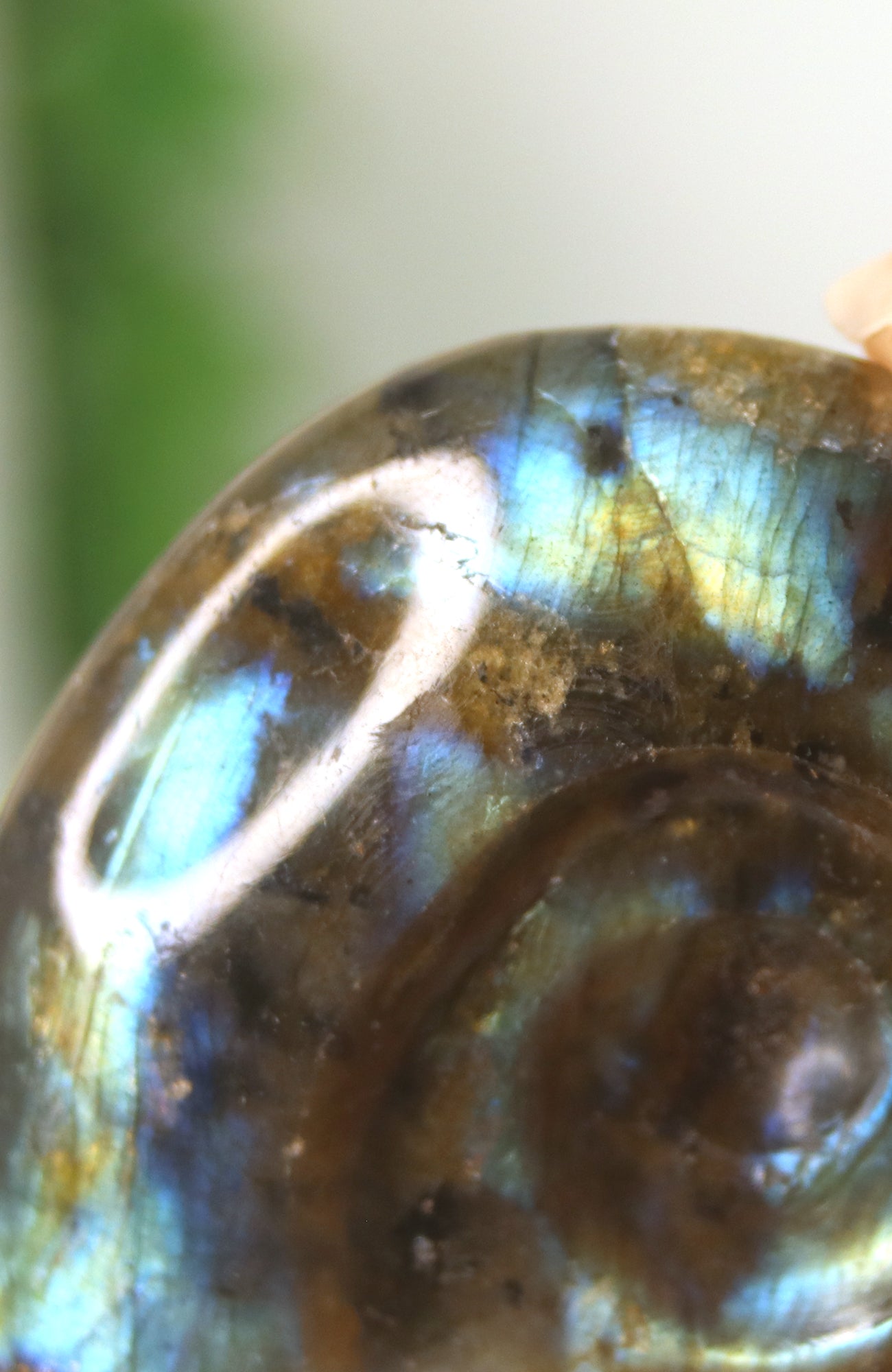 Labradorite Shell